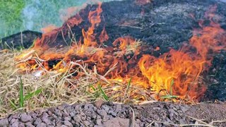 Incêndio em vegetação prejudica visibilidade na BR-369 em Cascavel