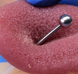 Elevate your piercing with this stylish octopus tentacle accessory!