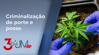 PEC das Drogas: Pedido de vista coletivo adia votação na CCJ