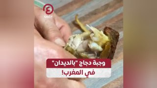 وجبة دجاج 