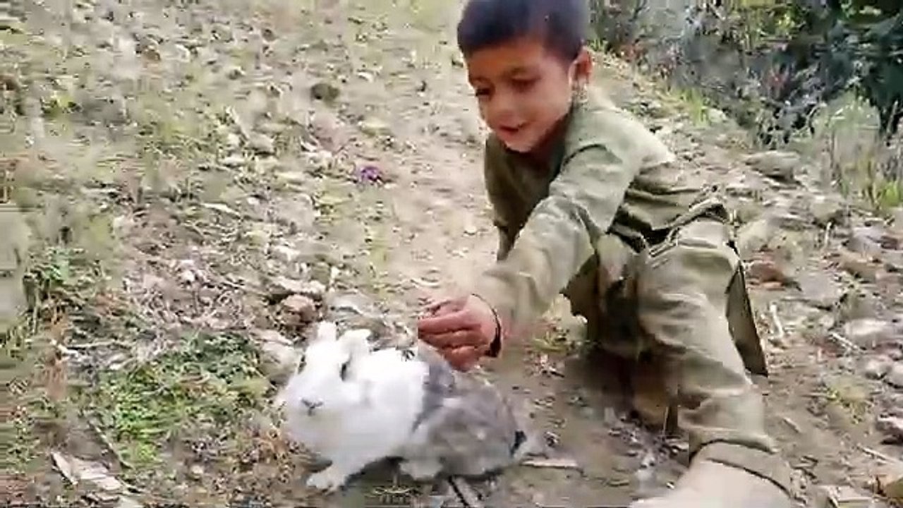 babay_love_his_bunny_Rabbit()