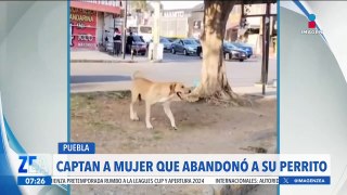 VIDEO: Mujer abandona a su perrito en calles de Puebla