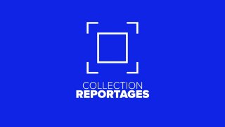 Collection Reportages