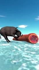 Blade worm vs Buffalo OMG 3D Animation