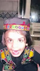 Aseel murga