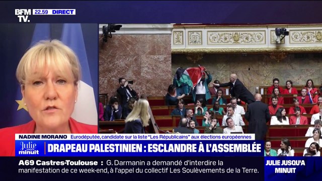Drapeau palestinien à l'Assemblée: Je suis profondément scandalisée de voir ce qui se passe à l'heure actuelle dans cet hémicycle , affirme Nadine Morano (candidate LR aux élections européennes)