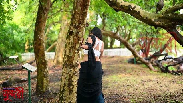 PUJA Saree Fashion Saree Lover Saree Sundori Bong Saree BANGLAR SUNDORI BLACK SAREE