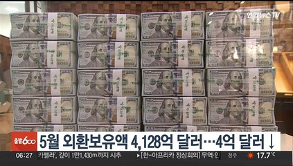 5월 외환보유액 4,128억 달러…4억 달러↓