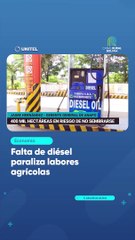 Falta de diésel paraliza labores agrícolas