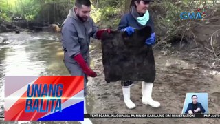 Buhok ng tao, ginagamit panlinis ng oil spill at bacteria sa dagat | Unang Balita