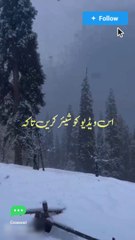Little Islamic Learning things