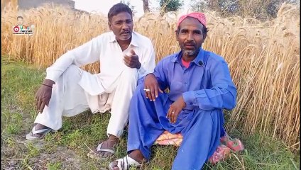 Behaviour of The Peoples in Village  LifeVillage life in #UbvlPakistan