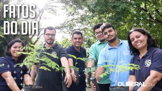 Dia Mundial do Meio Ambiente: Belém investe na arborização pela qualidade de vida