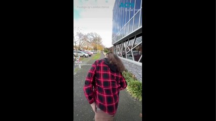 Should Patrick Courtney keep or kill the mullet? The Courier - June 5, 2024