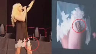 Taylor Momsen es mordida por un murciélago en pleno escenario