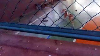 Pitbull invade escola no Pará e morde estudante; veja vídeo