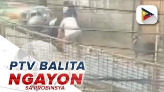 Lalaki sa video na pumatay at nagkatay ng aso sa Baguio City, kinasuhan