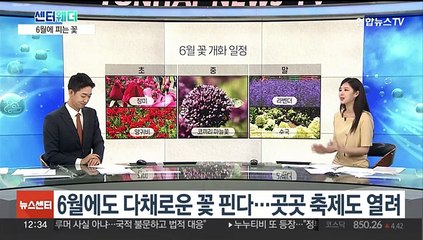 [센터웨더] 6월에 피는 꽃 '장미·수국'…산악날씨 확인하는 방법?