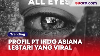 Profil PT Indo Asiana Lestari yang Viral Karena Bakal Babat 36 Ribu Ha Hutan Adat Papua