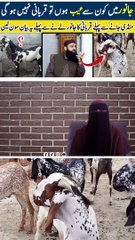 qurbani ke janwar ki bayan