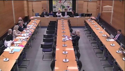 Violences commises dans les secteurs artistiques et médiatiques : Table ronde des associations du secteur de la mode ; Mme Caroline Fontaine, déléguée générale de l’association des agences-conseils en communication - Mardi 4 juin 2024