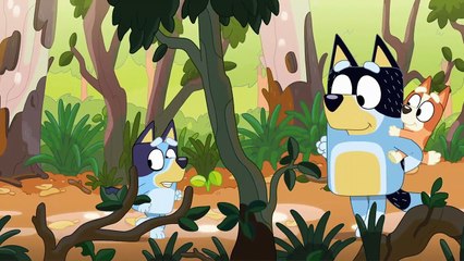 Μπλουι, σεζόν 1, επεισοδιo 29 (Το ρυάκι)