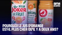 Ouragan en Floride, sécheresse au Brésil… Pourquoi le jus d'orange est-il plus cher?