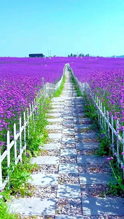 Nature beauty