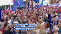 Elezioni europee: Tusk invita i polacchi a votare, 