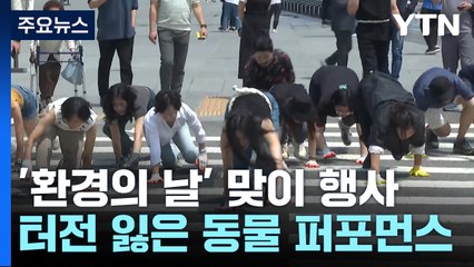 곳곳에서 '환경의 날' 행사..."쓰레기로 뒤덮인 세상" / YTN