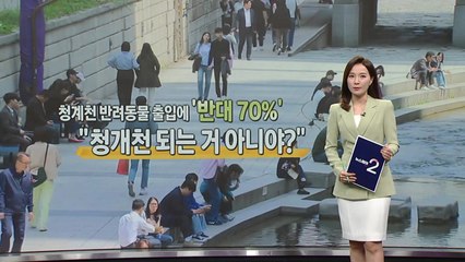 청계천 반려견 허용 [앵커리포트] / YTN
