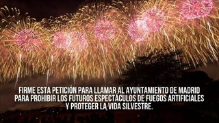 Solicitan en Madrid la prohibición de espectáculos con fuegos artificiales para proteger la vida silvestre