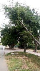 Assalam o Alaikum Pakistan Good Morning Pakistan