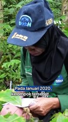 Cerita Perempuan Desa di Aceh Jadi Penjaga Hutan
