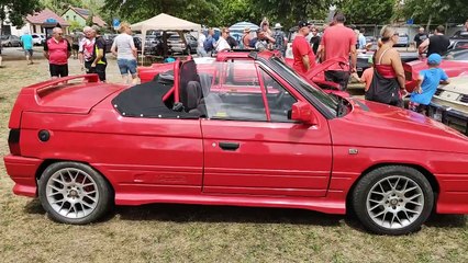 Škoda Favorit MTX Roadster