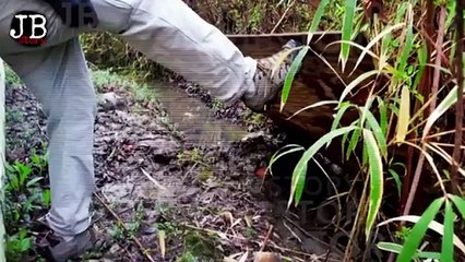 COBA TEBAK SIAPA PELAKUNYA!! JIKA TEBAKAN KALIAN BENAR, KALIAN HEBAT!! #JBstory #kisahnyata