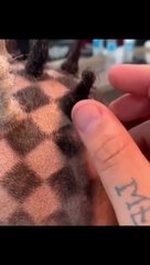 Funny Videos And Hilarious Moments