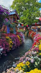 Hoon_#oldisqold_#trendingstatus_#trendingsongs