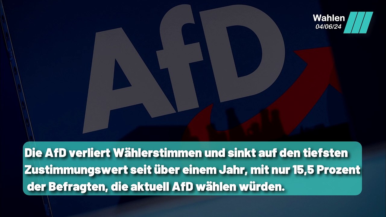Die AfD in der Krise: die SPD auf dem Vormarsch