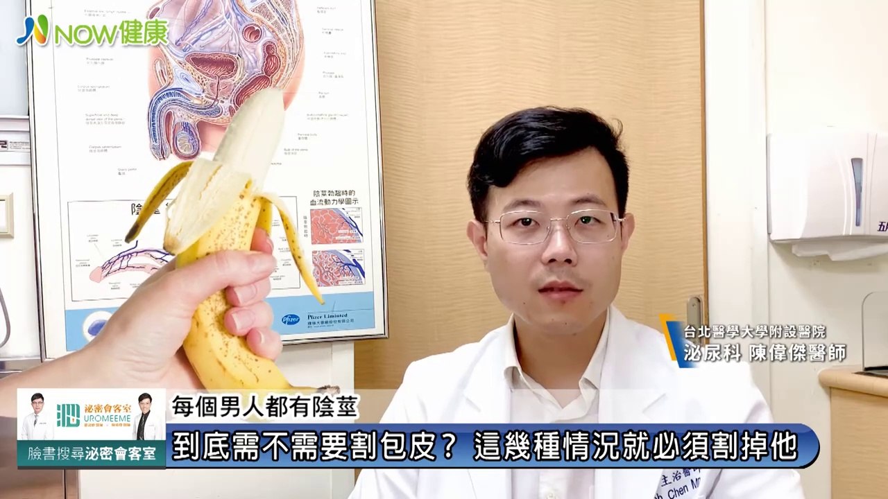 割包皮之大人的煩惱｜台北醫學大學附設醫院泌尿科 陳偉傑醫師｜NOW健康