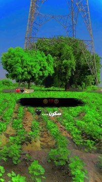 video-output-DA3DFA09-2155-43B4-9619-0F5433B2D1BB