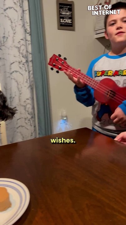 Doggo Celebrates Birthday with Epic Cake & Adorable Joy