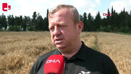 Antalya'dan Orta Doğu pazarına tescilli buğday ihracatı