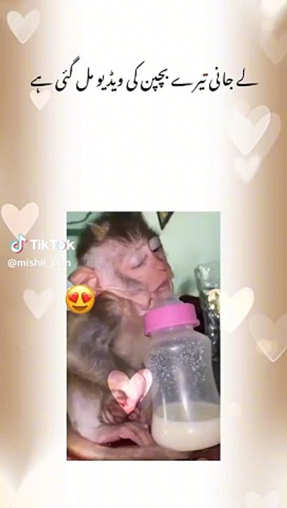 02c48f757215079af5addc069ef00f0b