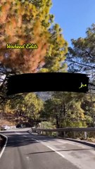 Just do one thing in life