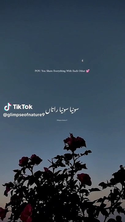 Nice good song Punjabi