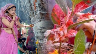 Vat Savitri Puja Vidhi 2024: वट सावित्री पूजा विधि | वट सावित्री पूजा कितने बजे से है | Boldsky