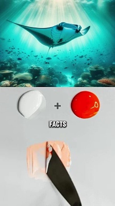 You know these things yet?