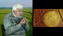 Crop Circle Realities (2021)   Full Documentary Movie   Stephen Bassett   Gary King