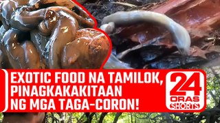 Exotic food na tamilok, pinagkakakitaan ng mga taga-Coron! | 24 Oras Shorts